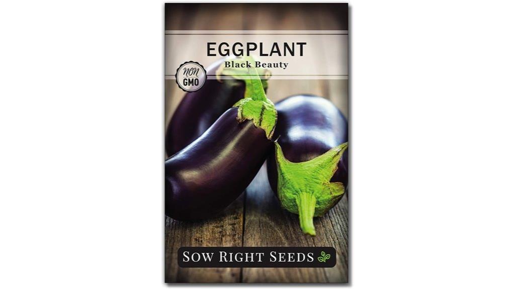 black beauty eggplant seeds