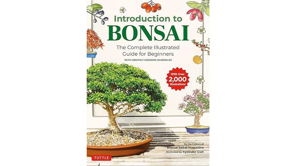 bonsai basics for beginners