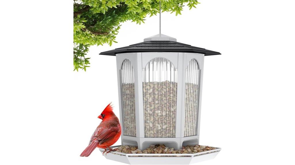 cardinal friendly outdoor feeder
