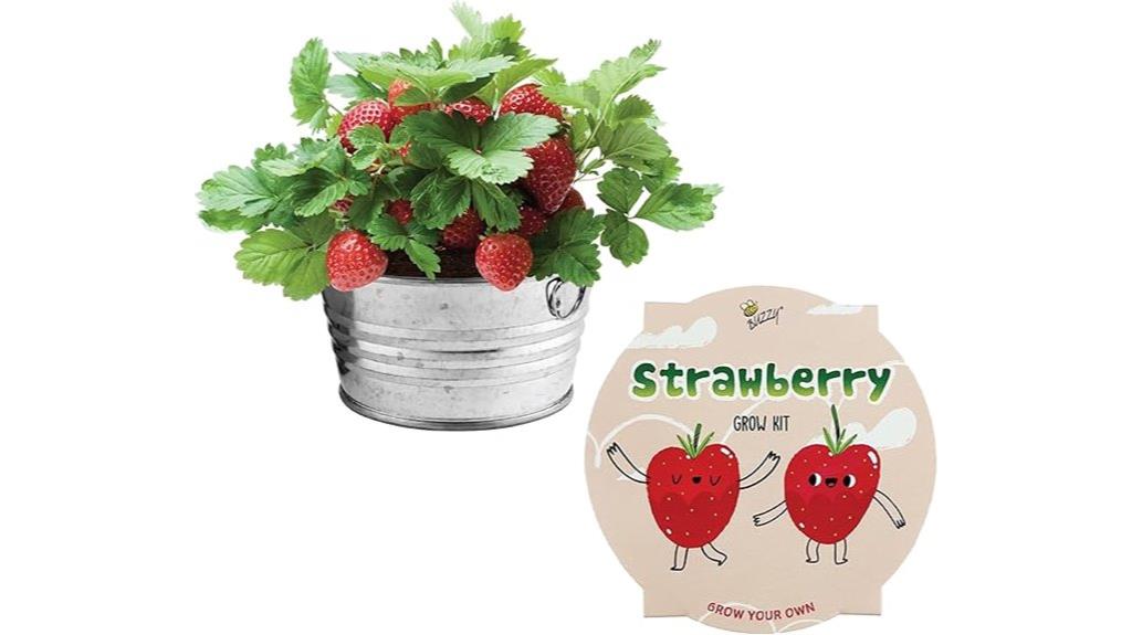 children s strawberry seed kit