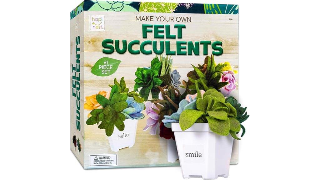 diy felt succulent kit