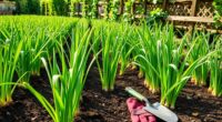 expert onion gardening tips