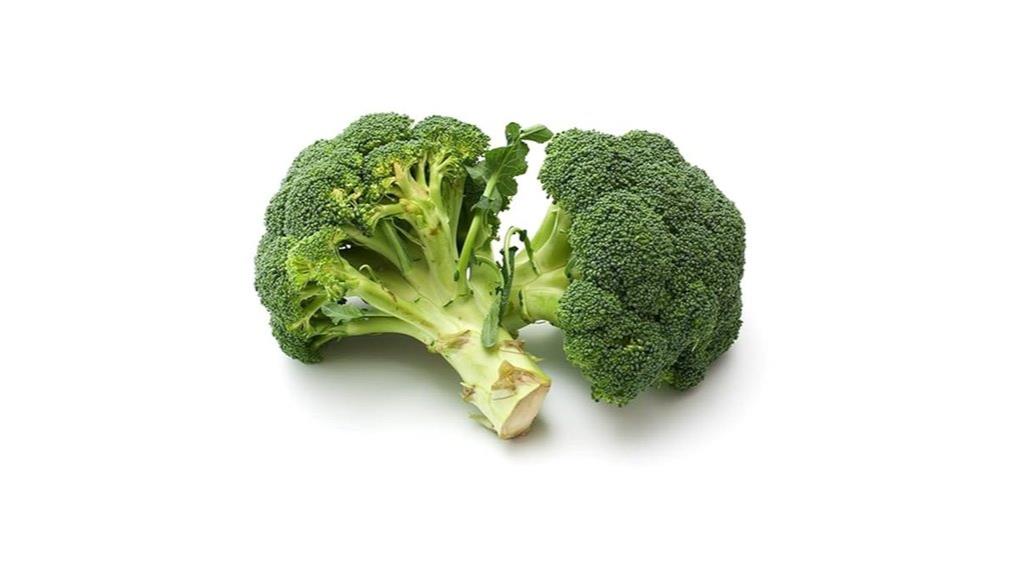 fresh organic broccoli head