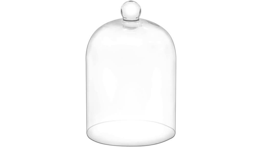 handmade glass cloche display