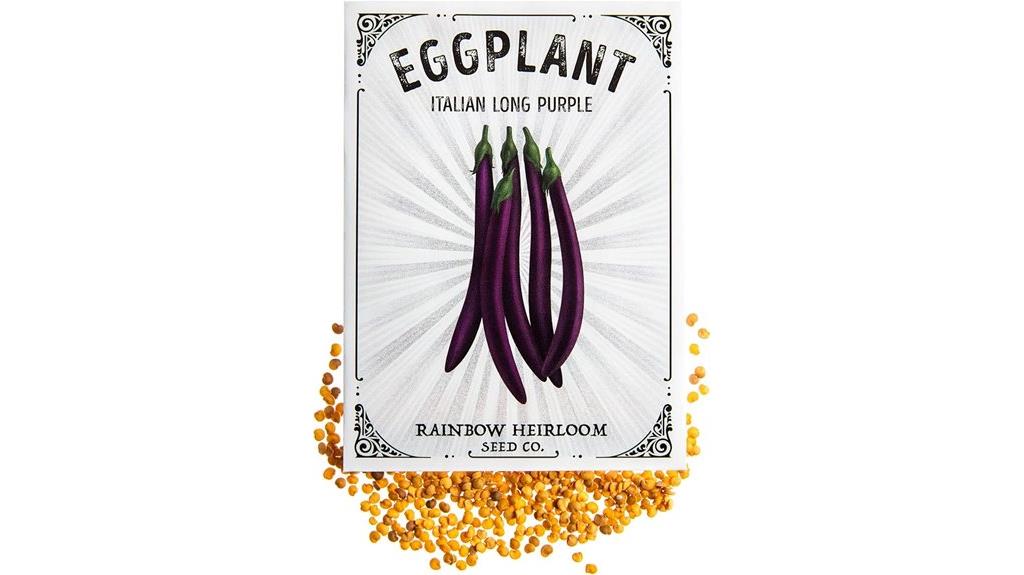 italian long purple eggplant
