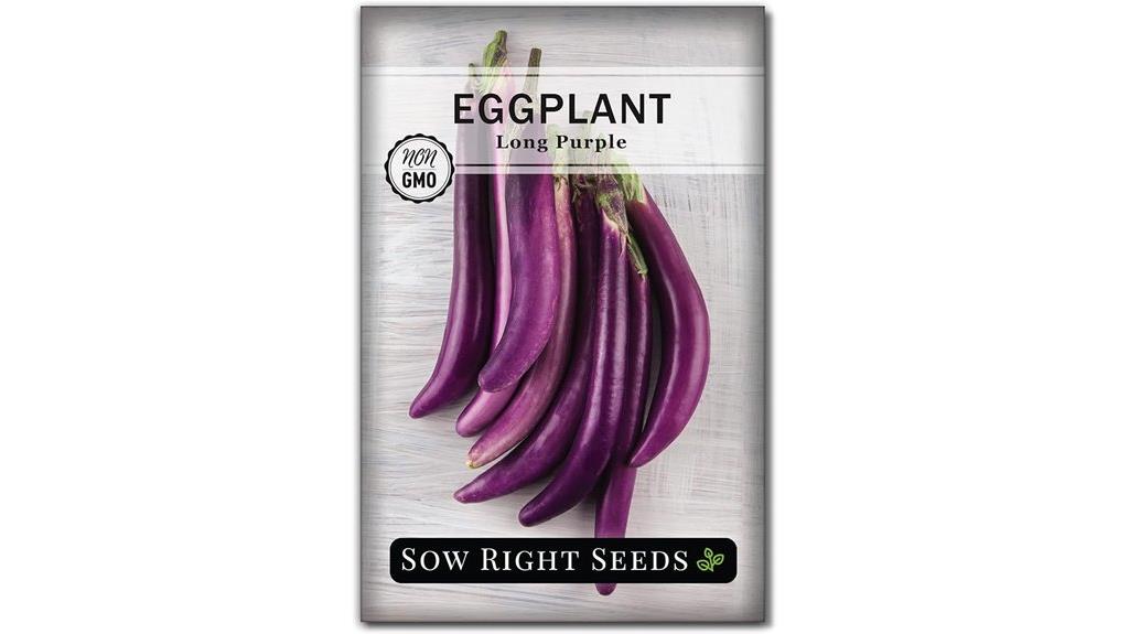 long purple eggplant seeds