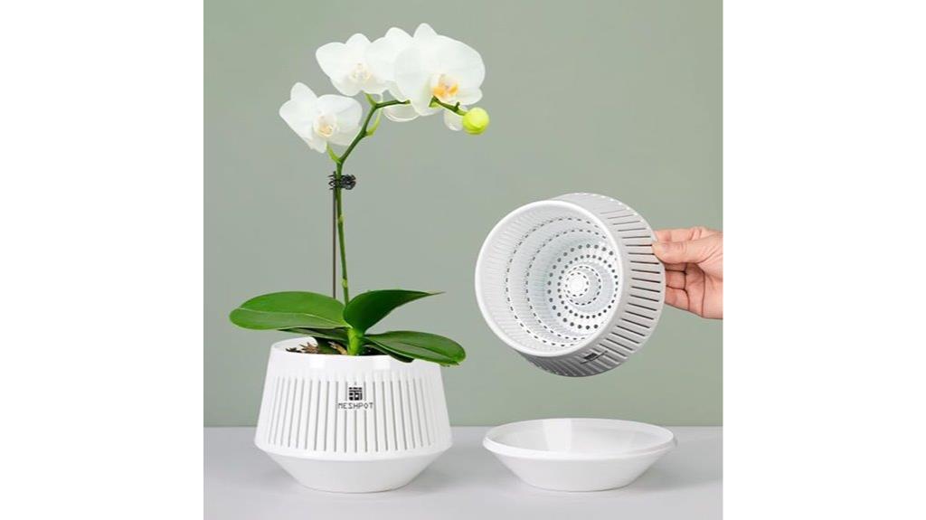 orchid pots for repotting