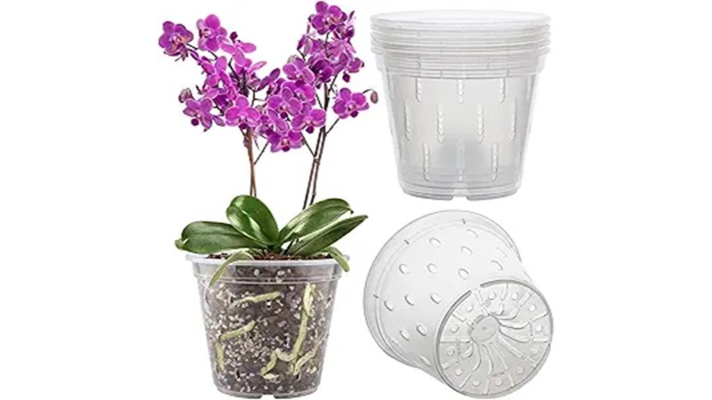 orchid pots for repotting