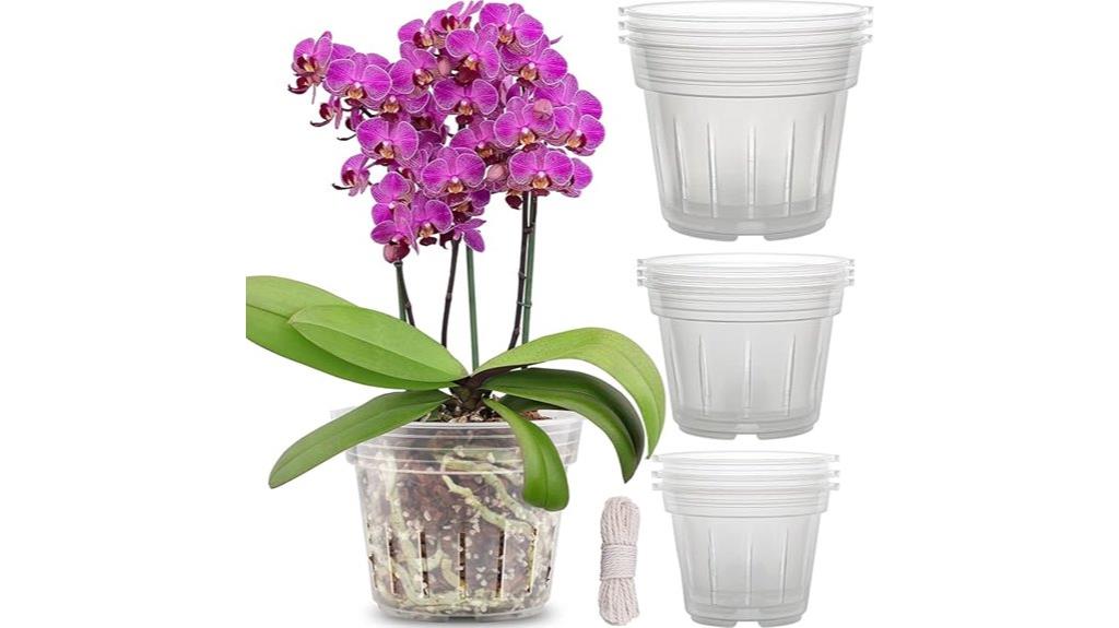 orchid pots for repotting