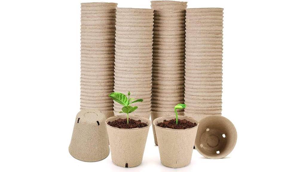 peat pots for seedlings