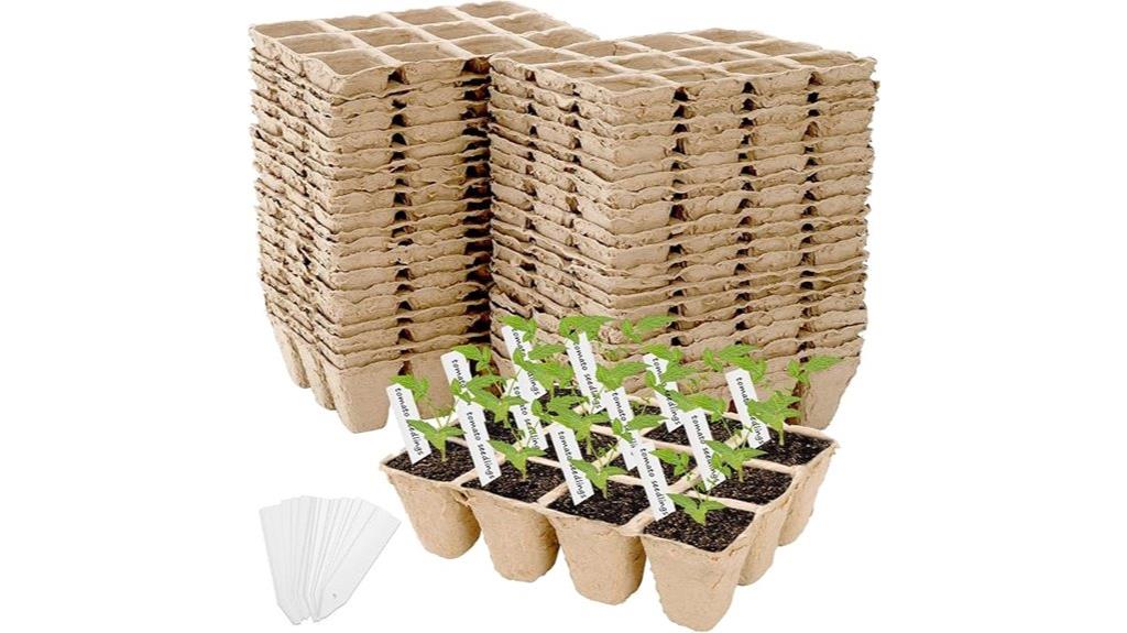peat pots for seedlings