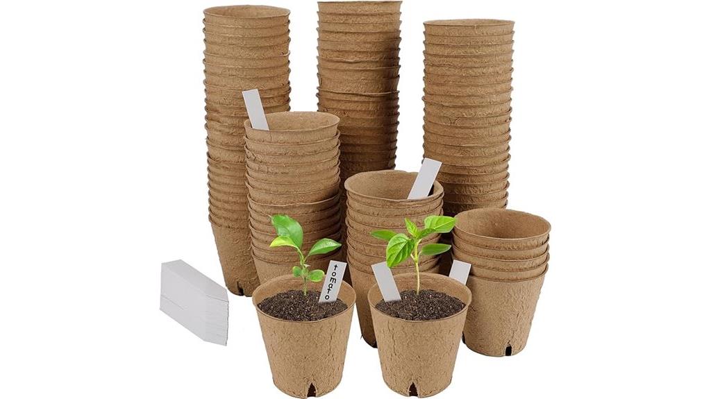 seed starter tray kit