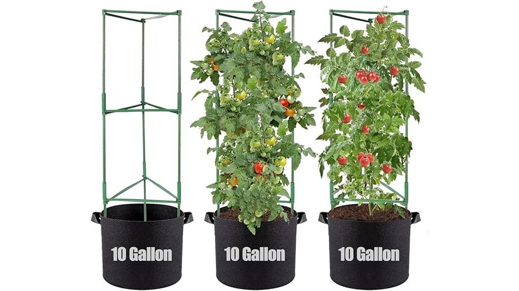 tomato cages and bags