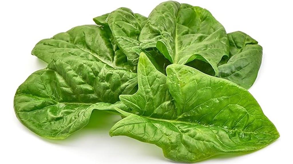 viroflay spinach seeds packet