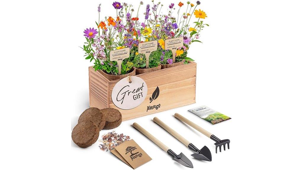 wildflower seed growing kit