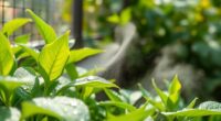 controlling moisture and air