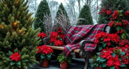 festive seasonal gardening plants