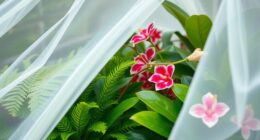 greenhouse tropical plant protection