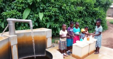 maintain cleanliness to prevent illness