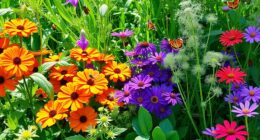 pollinators benefit from companion planting