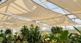 effective shade reduces heat