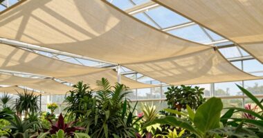 effective shade reduces heat