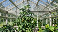 greenhouse headroom guideline overlooked