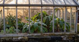 thermal mass improves greenhouse warmth