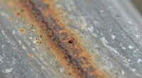 early rust detection tips