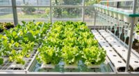 hydroponic system comparison guide