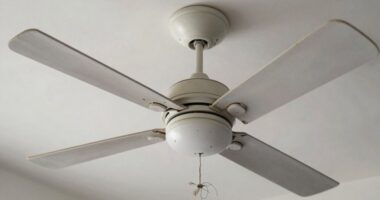 incorrect fan cleaning method