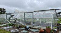 inspect greenhouse after storms