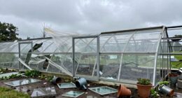 inspect greenhouse after storms