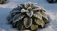 adjusting light for dormancy