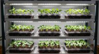 efficient seed propagation rack