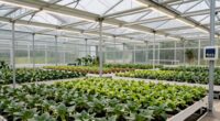efficient strategic greenhouse upgrades