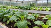 enhance home greenhouse productivity