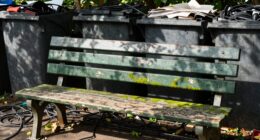 enhanced benches boost organization