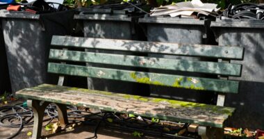 enhanced benches boost organization