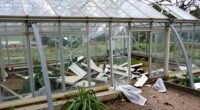 inspect greenhouse post storm