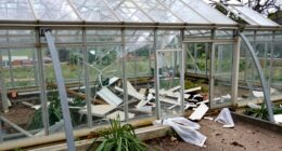 inspect greenhouse post storm