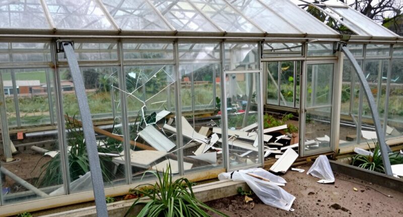 inspect greenhouse post storm