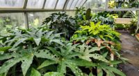 rapid spread indoors