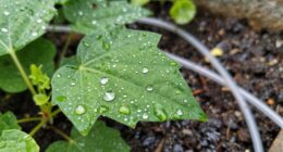 small impactful water saving change