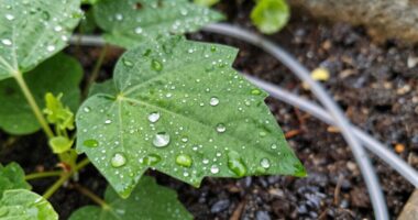 small impactful water saving change