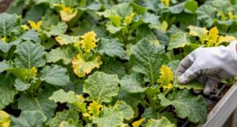 spot greenhouse problems quickly