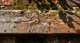 sustainable material selection importance