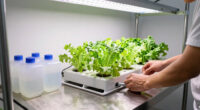 11 Best Commercial Hydroponic Channels in 2026