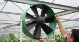 11 Best Greenhouse Circulation Fans in 2026