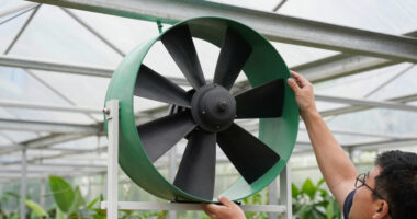 11 Best Greenhouse Circulation Fans in 2026